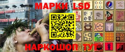гидропоника Тулун