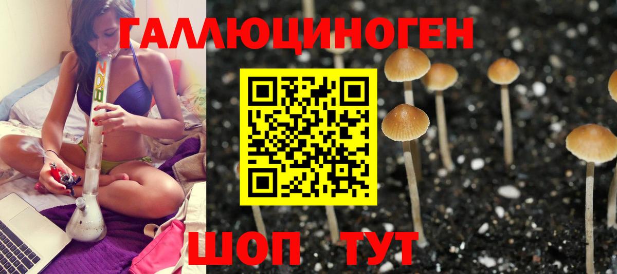 Галлюциногенные грибы мицелий Медногорск